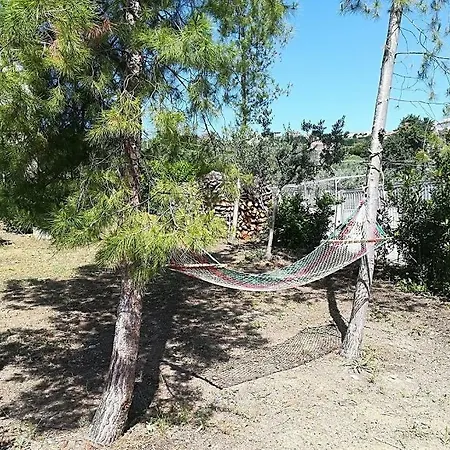 Ariosa