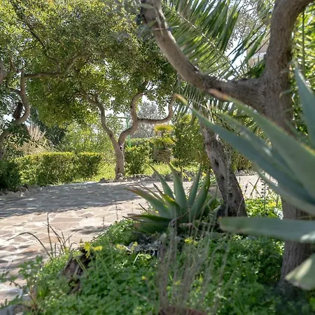 Ariosa Villa